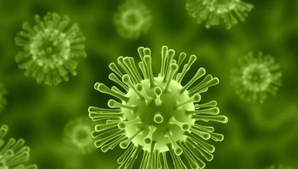 活性污泥中包含哪些微生物？-樂中環保