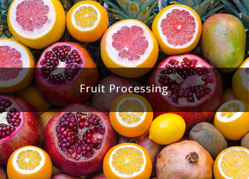 食品廠污水處理新思路,印度食品污水處理經(jīng)驗(yàn)淺析01 食品廠污水處理新思路,印度食品污水處理經(jīng)驗(yàn)淺析01