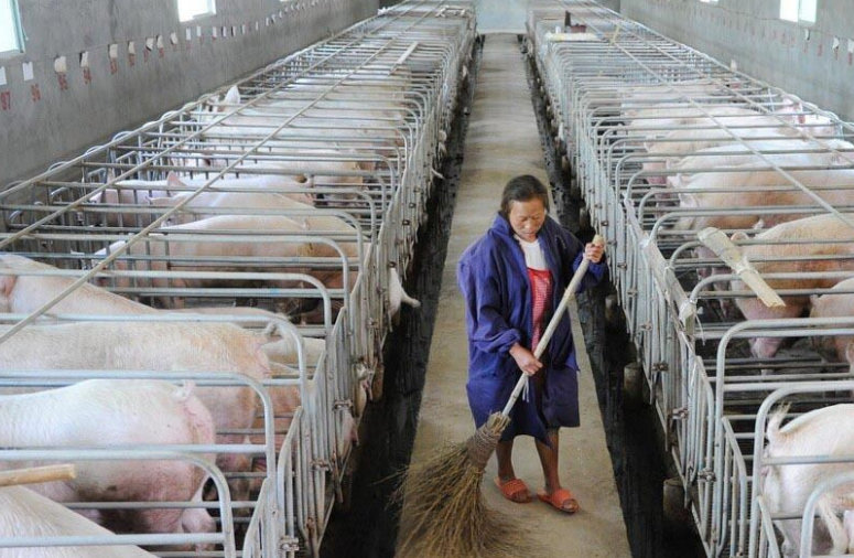 畜牧污水處理設(shè)備哪家好,養(yǎng)殖污水處理設(shè)備哪家好 畜牧污水處理設(shè)備哪家好,養(yǎng)殖污水處理設(shè)備哪家好