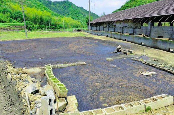 養豬污水變清水最快方法,養豬場污水處理方法有哪些-樂中環保 養豬污水變清水最快方法,養豬場污水處理方法有哪些-樂中環保