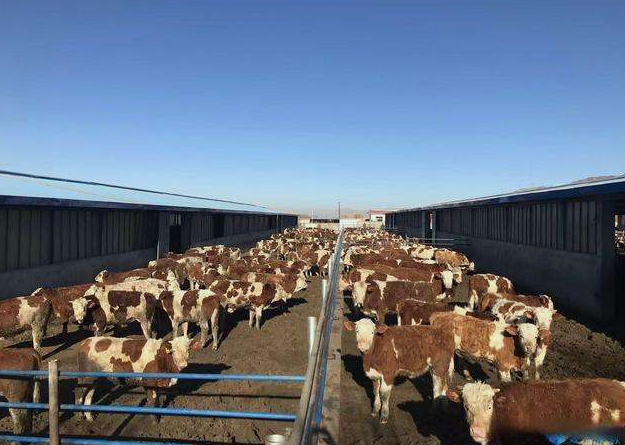 養(yǎng)殖場(chǎng)污水直接排放會(huì)面臨哪些處罰？JPEG.2