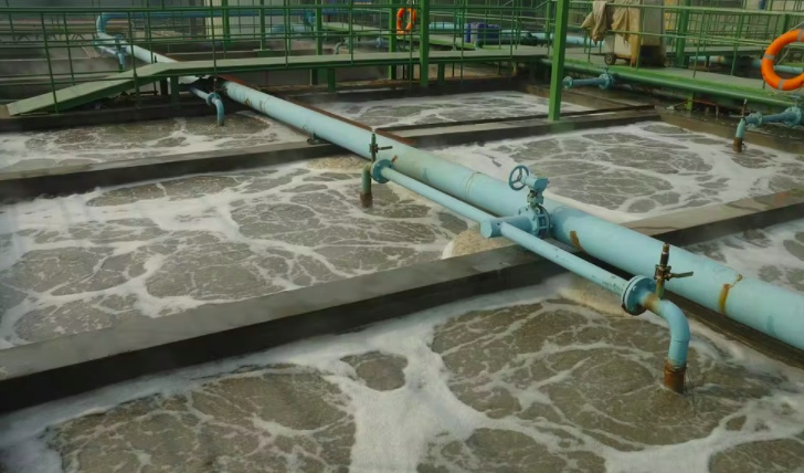 污水處理設備應用 | 生物技術在高效可持續水凈化中的重要作用 污水處理設備應用 | 生物技術在高效可持續水凈化中的重要作用