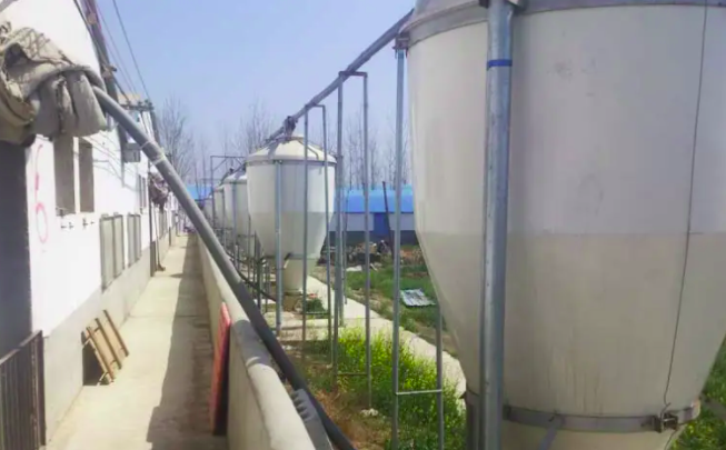 養豬污水處理設備一套多少錢？掌握這三點幫助你節約成本