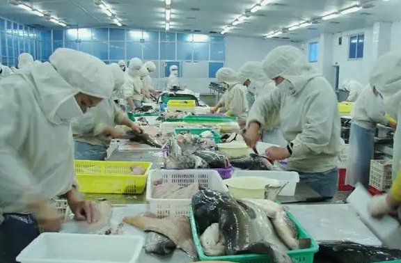 水產解凍清洗加工養殖廢水處理設備