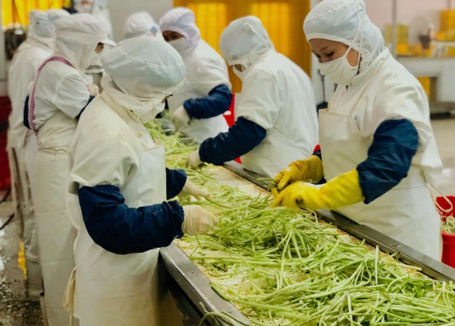 三種食品污水處理設(shè)備工藝流程，看看哪種適合您？